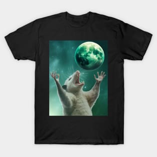 Opossum moon magic T-Shirt